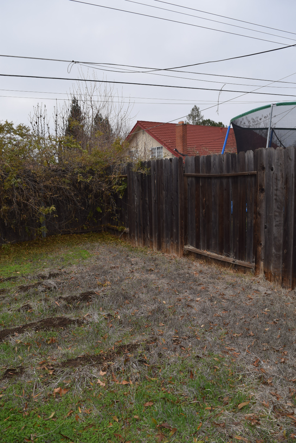 Rental Property Photo