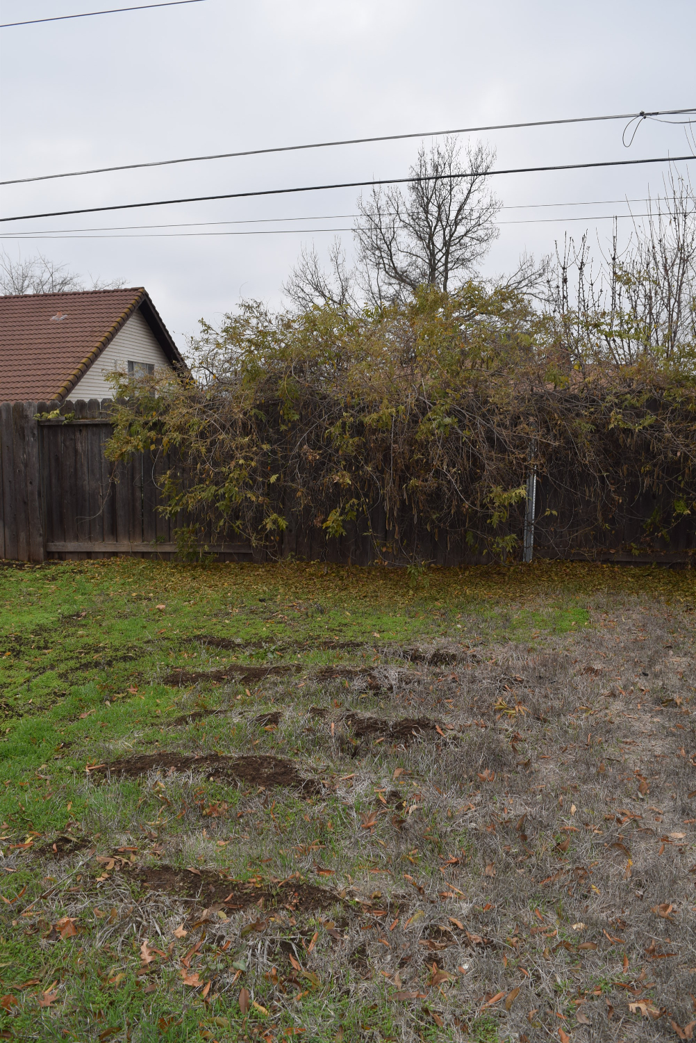 Rental Property Photo