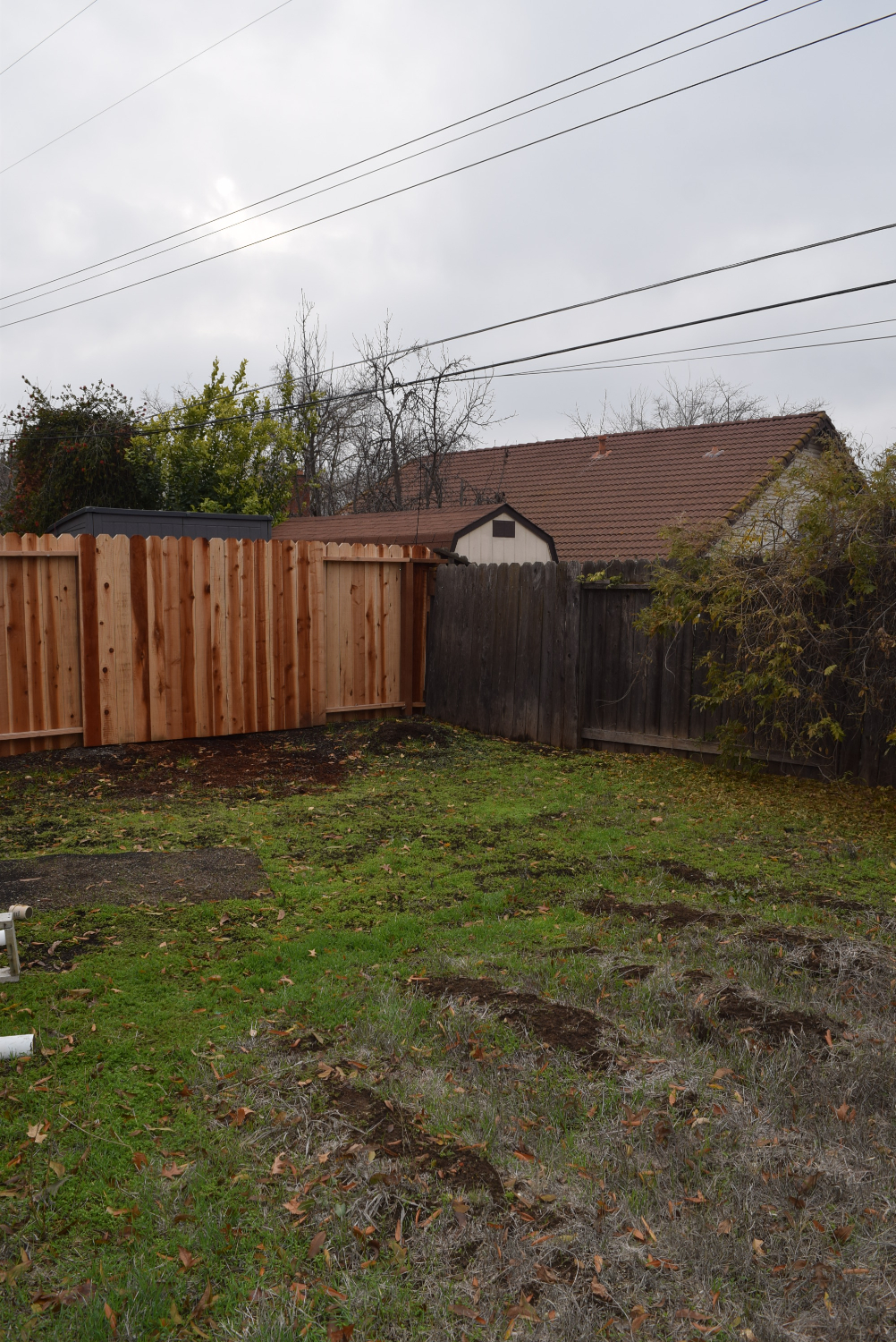 Rental Property Photo