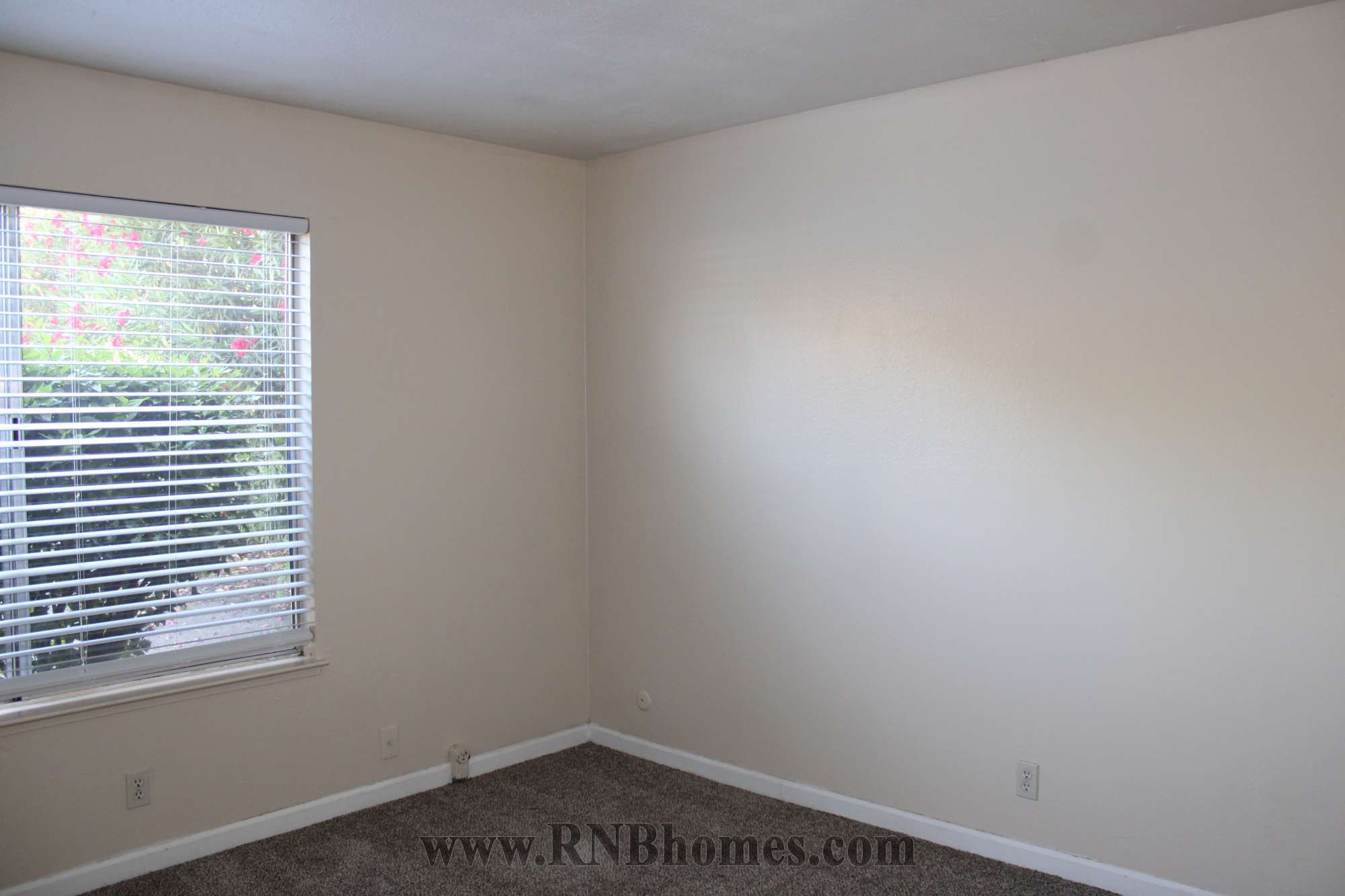Rental Property Photo