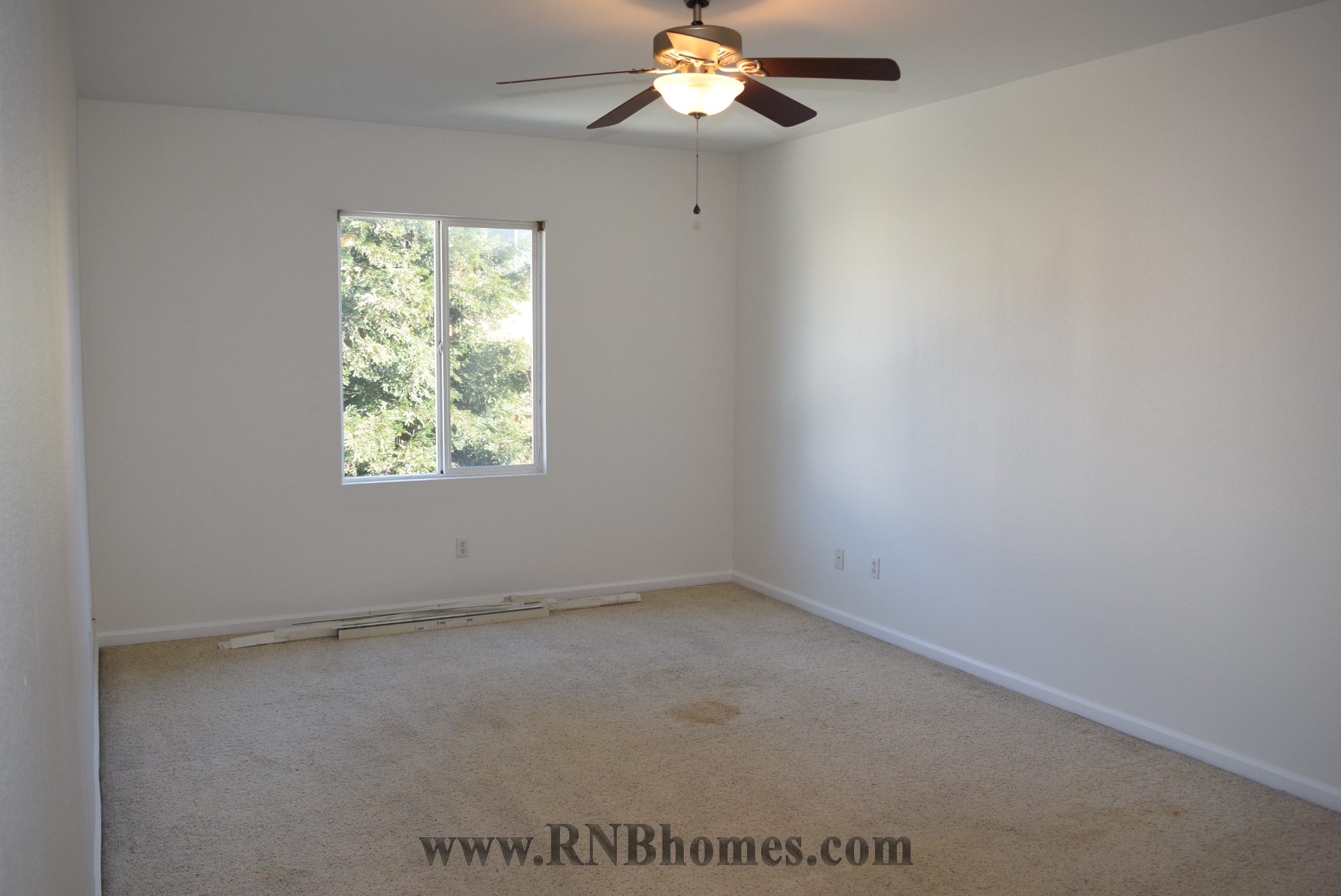 Rental Property Photo