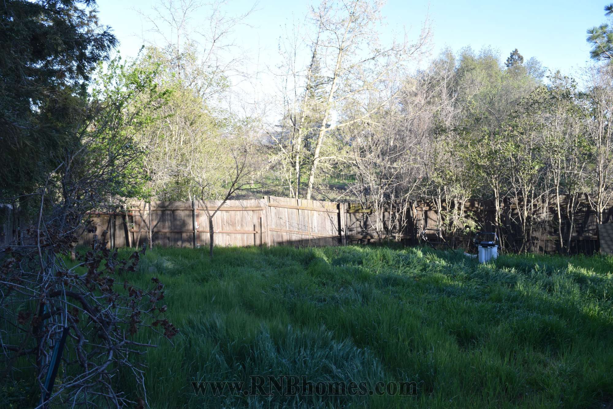 Rental Property Photo