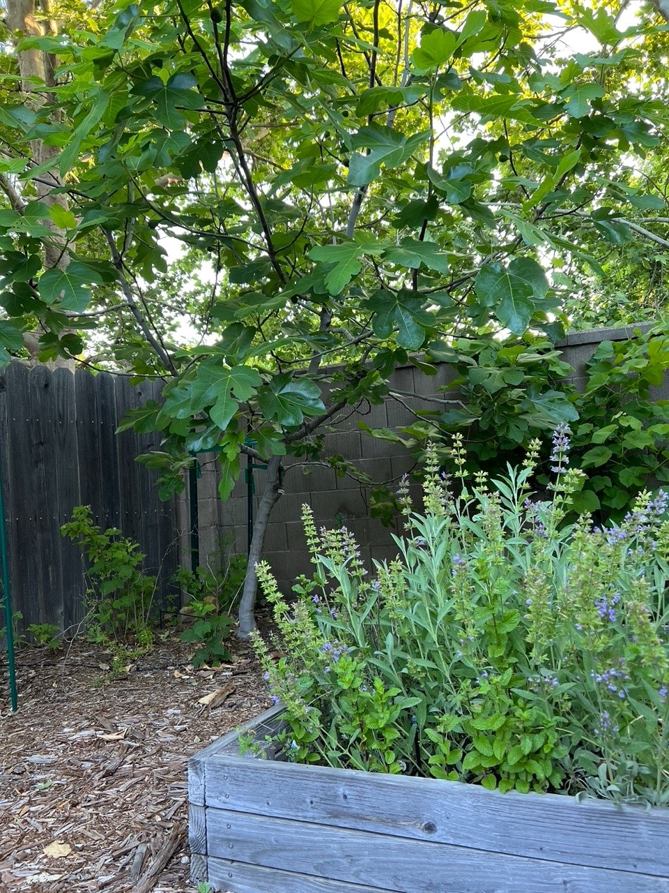 Rental Property Photo