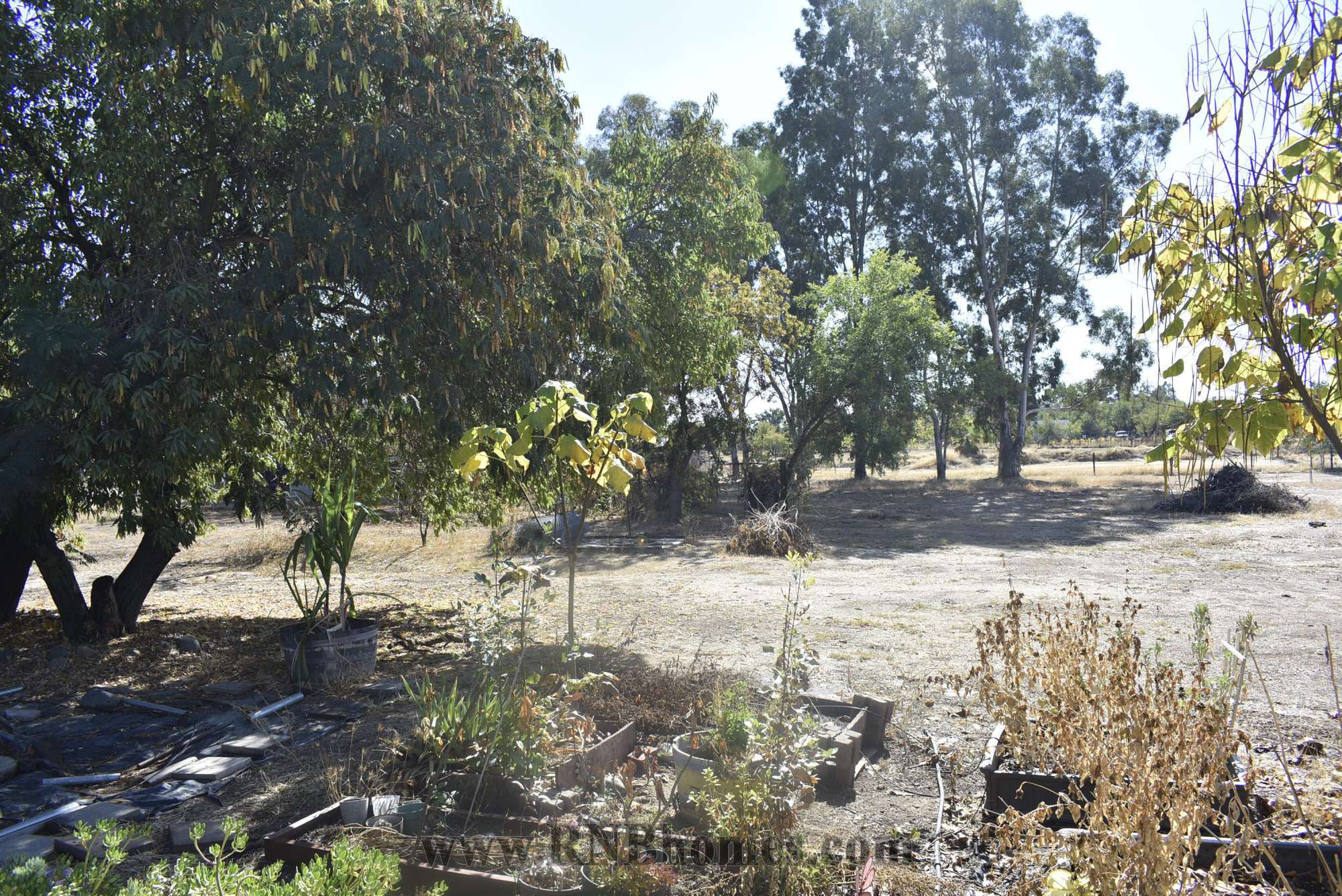 3463 Baseline Road, Roseville, CA rental home photo