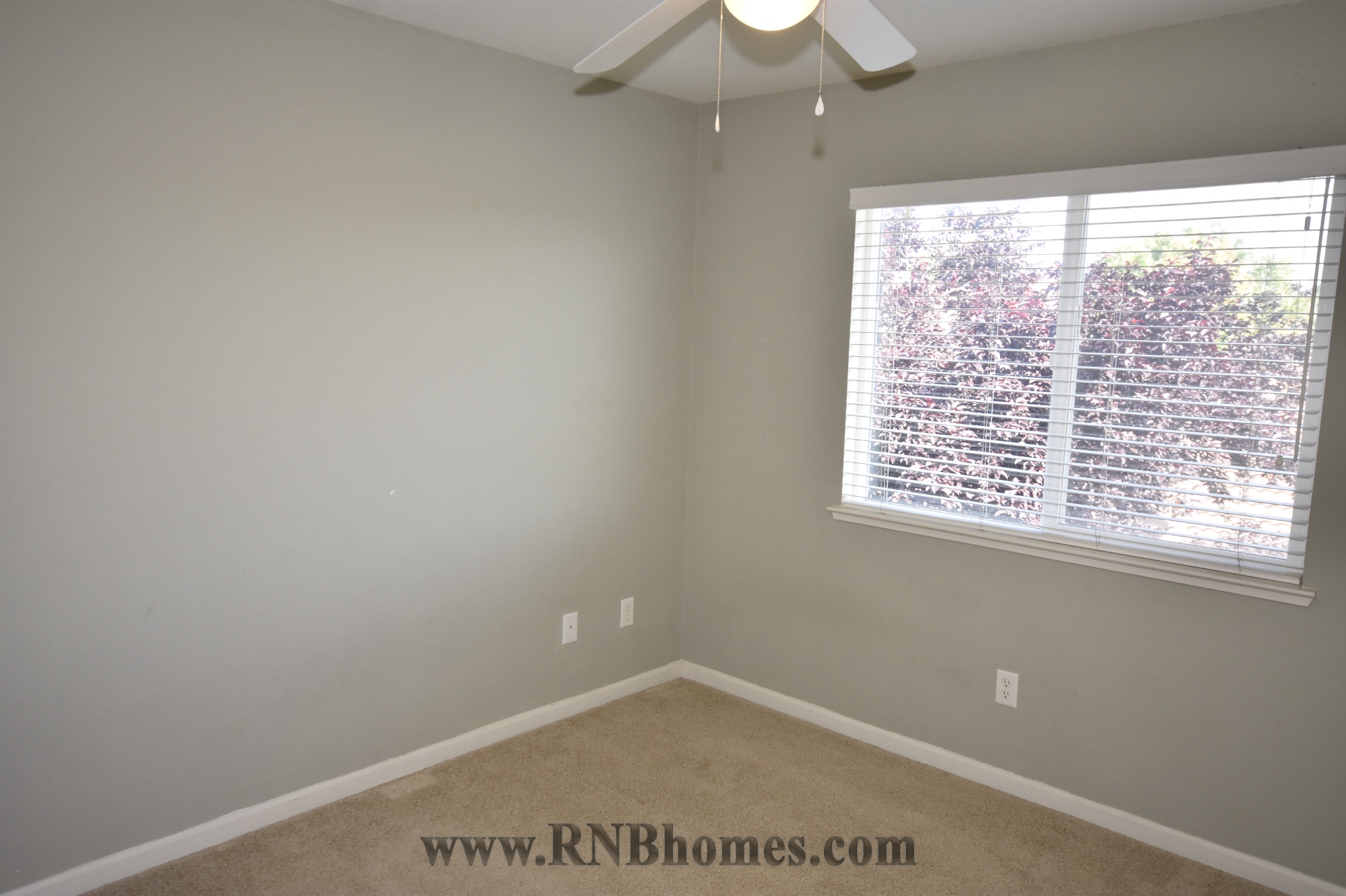 Rental Property Photo