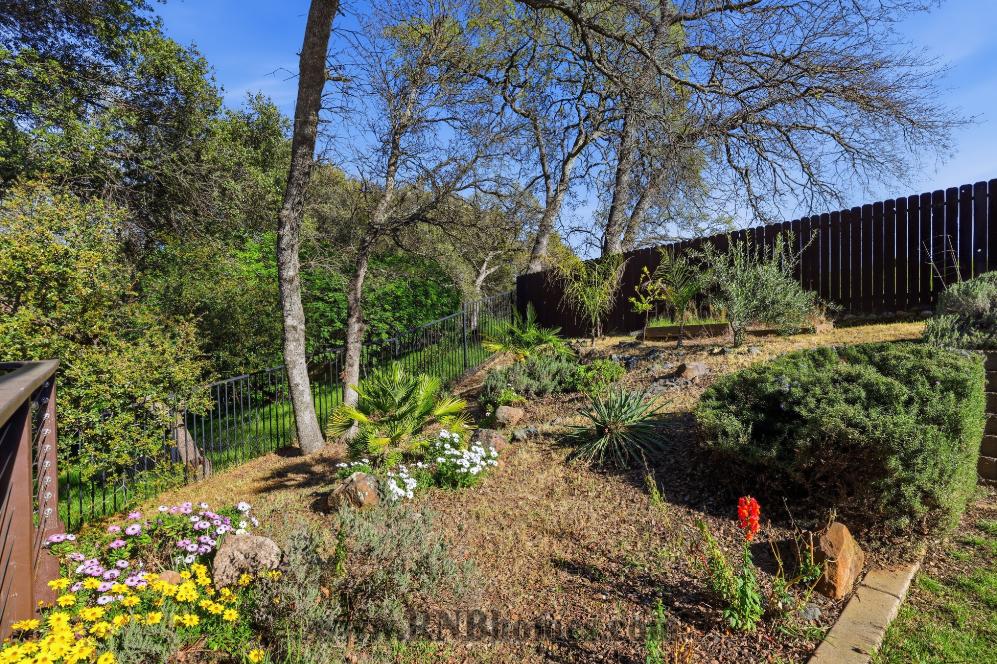 Rental Property Photo