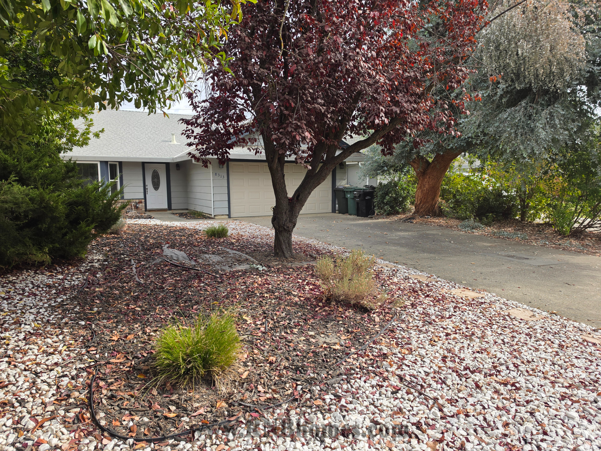 8313 Crossoak Way, Orangevale, CA rental home photo