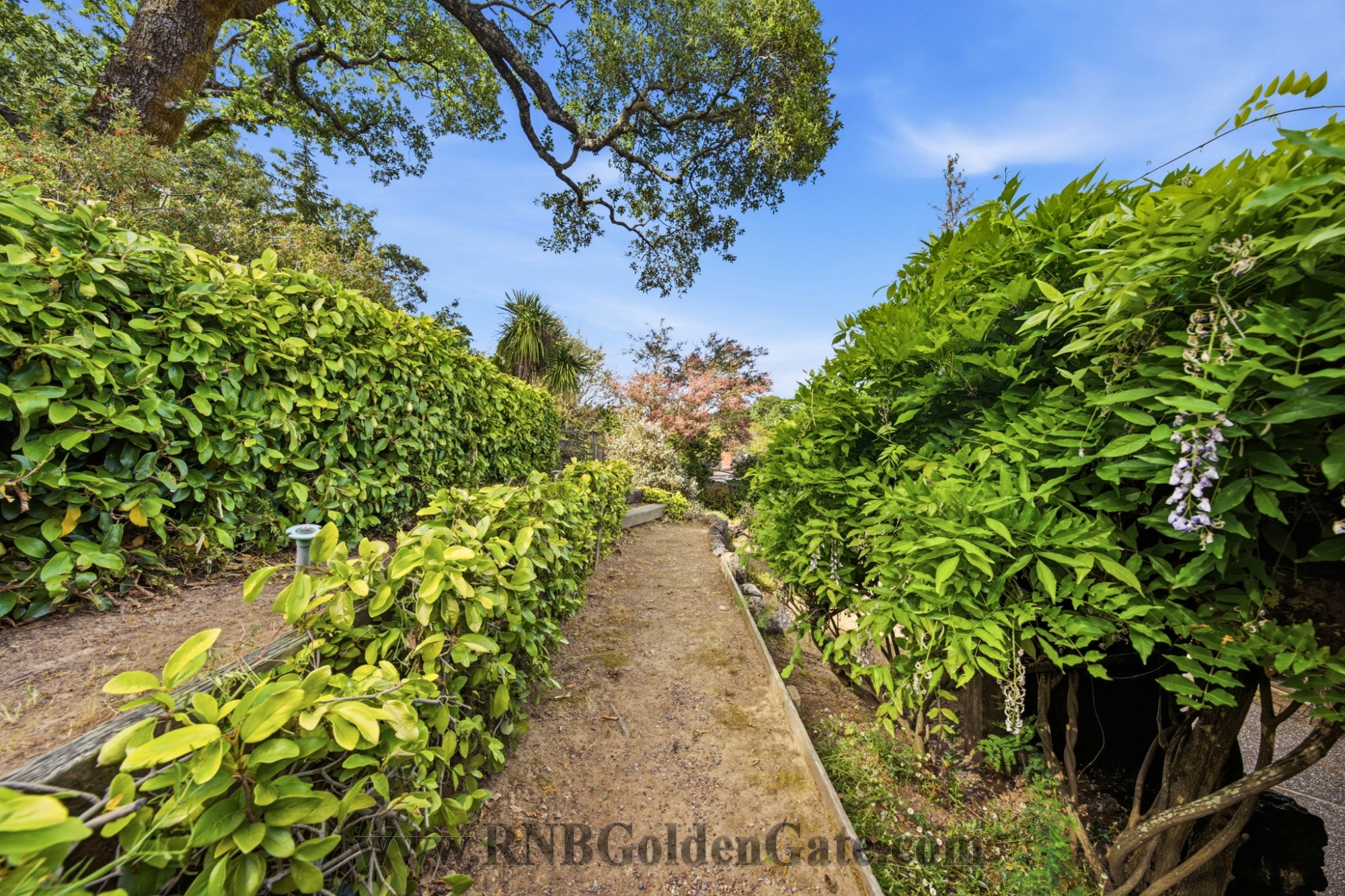 Rental Property Photo