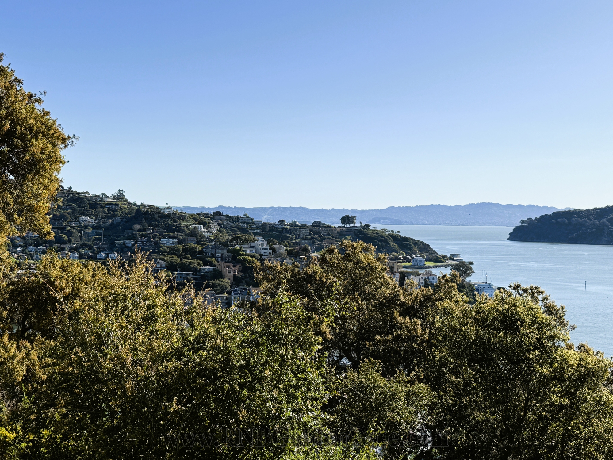 Rental Property Photo