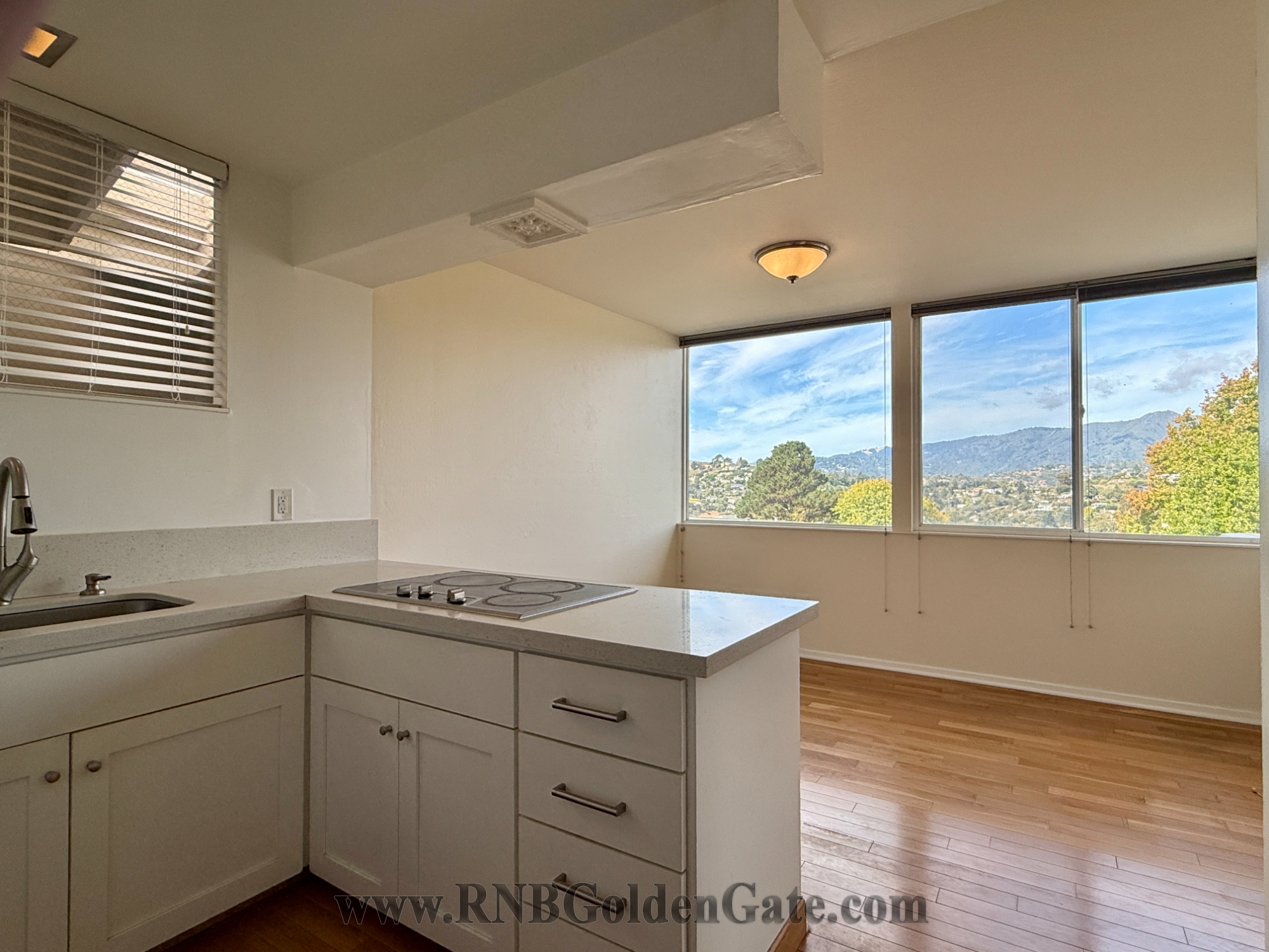 11 Andrew Drive, Belvedere, CA rental home photo
