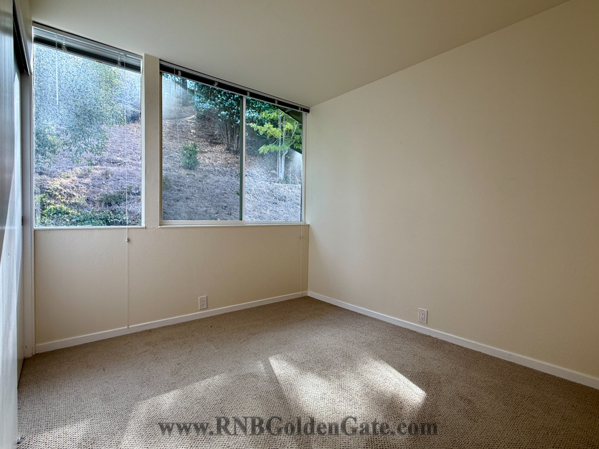 11 Andrew Drive, Belvedere, CA rental home photo
