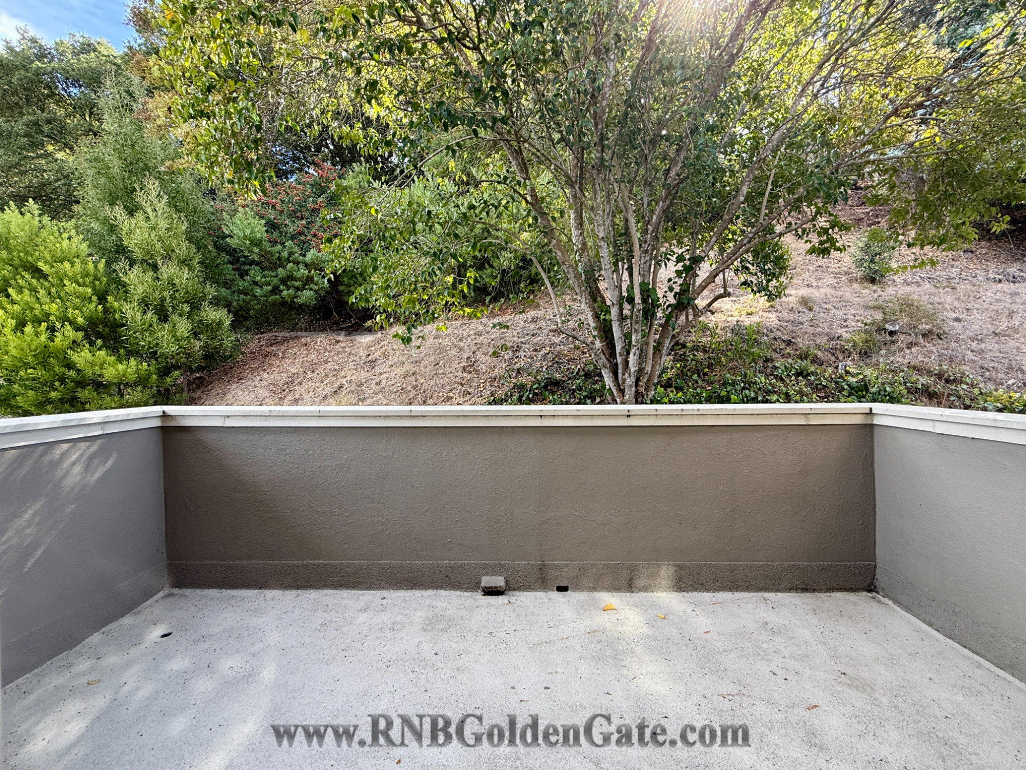 11 Andrew Drive, Belvedere, CA rental home photo