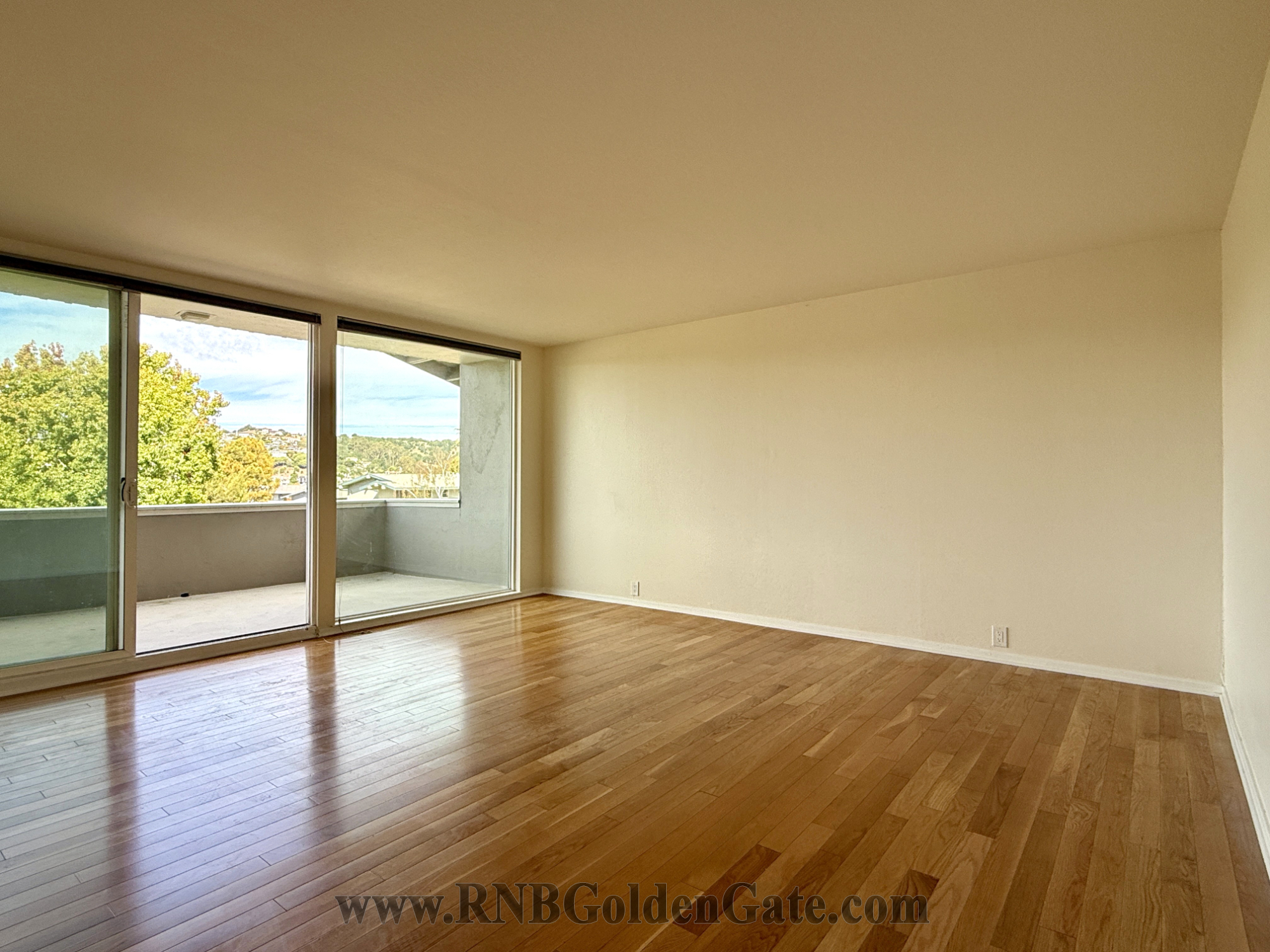 11 Andrew Drive, Belvedere, CA rental home photo