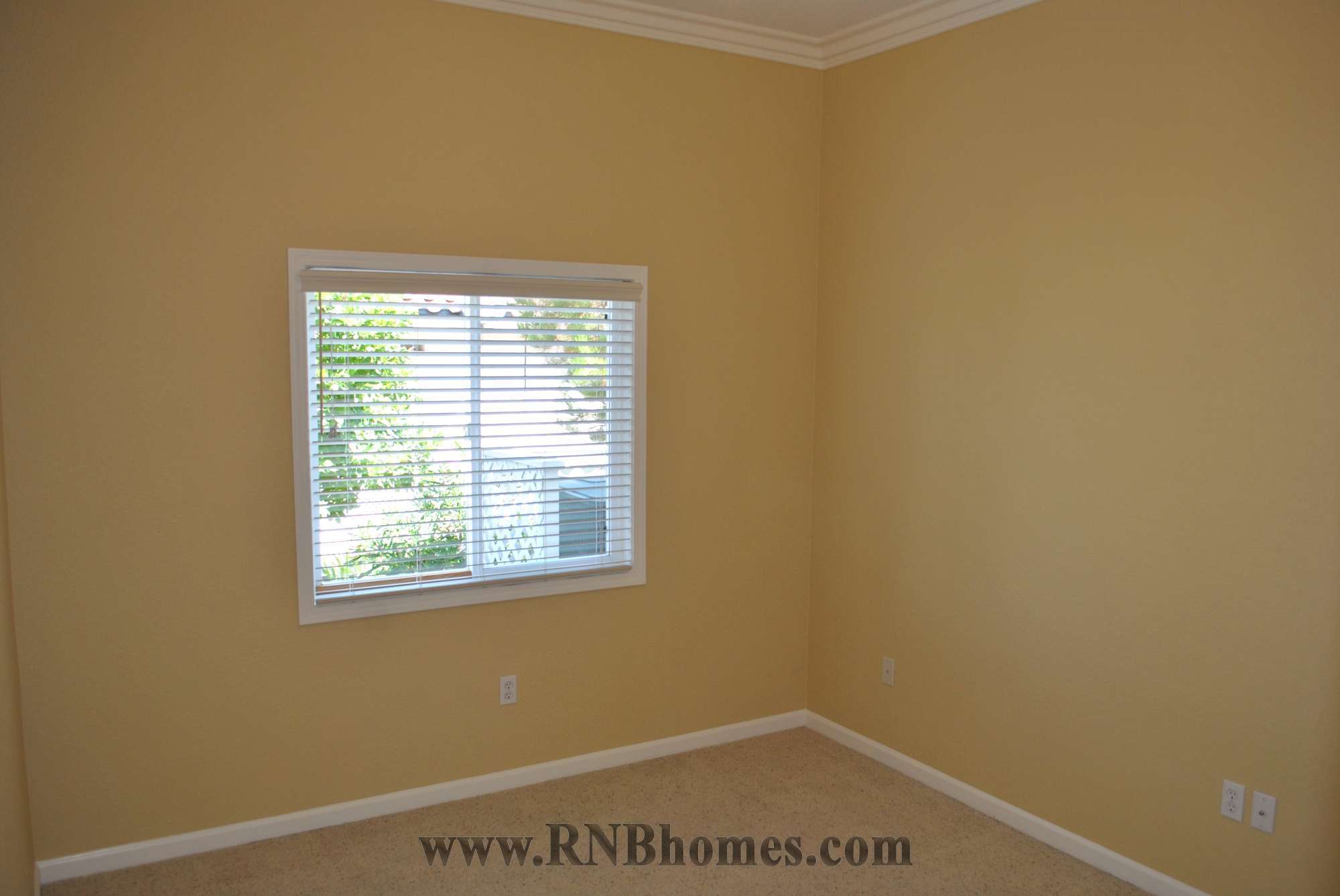 Rental Property Photo