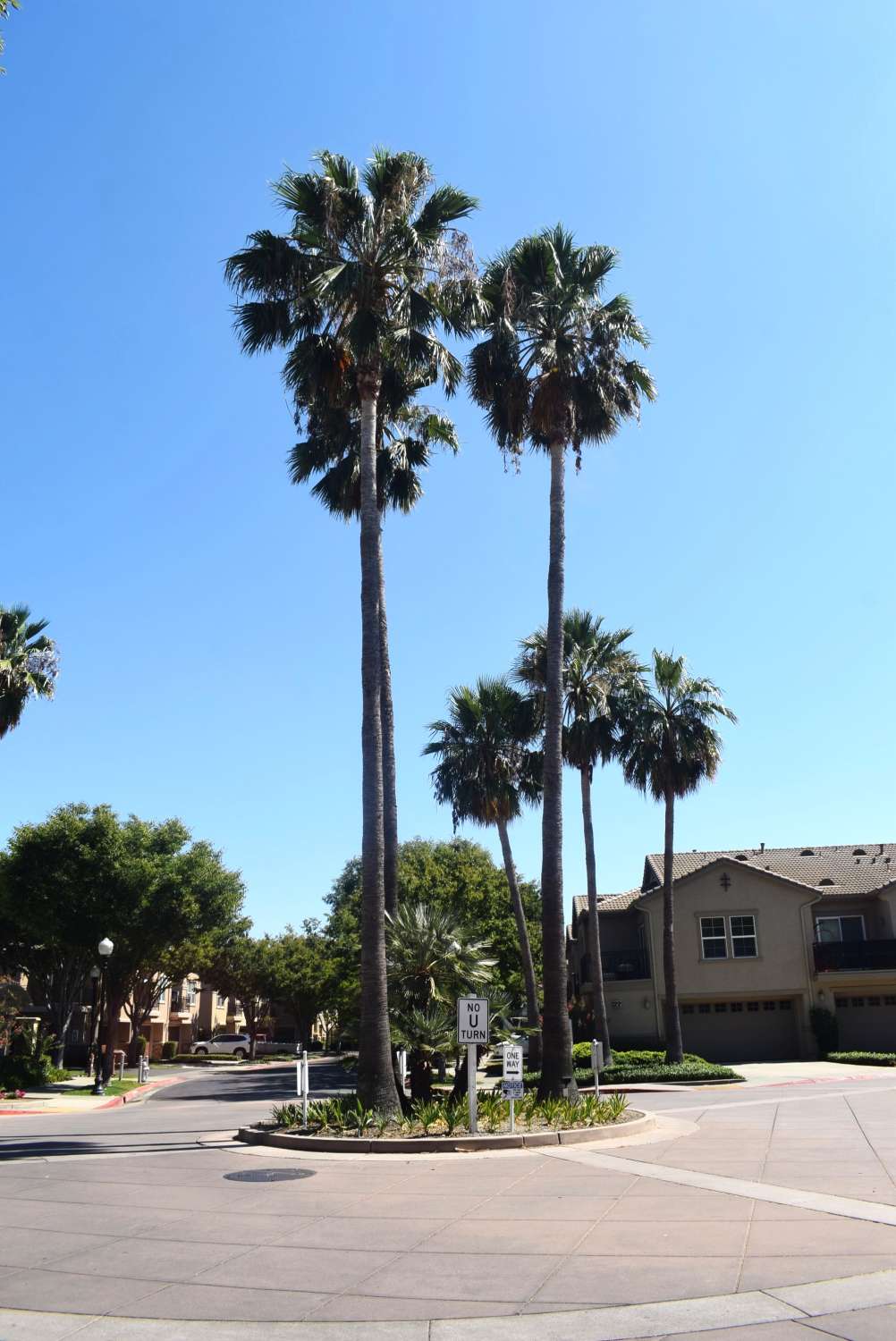Rental Property Photo