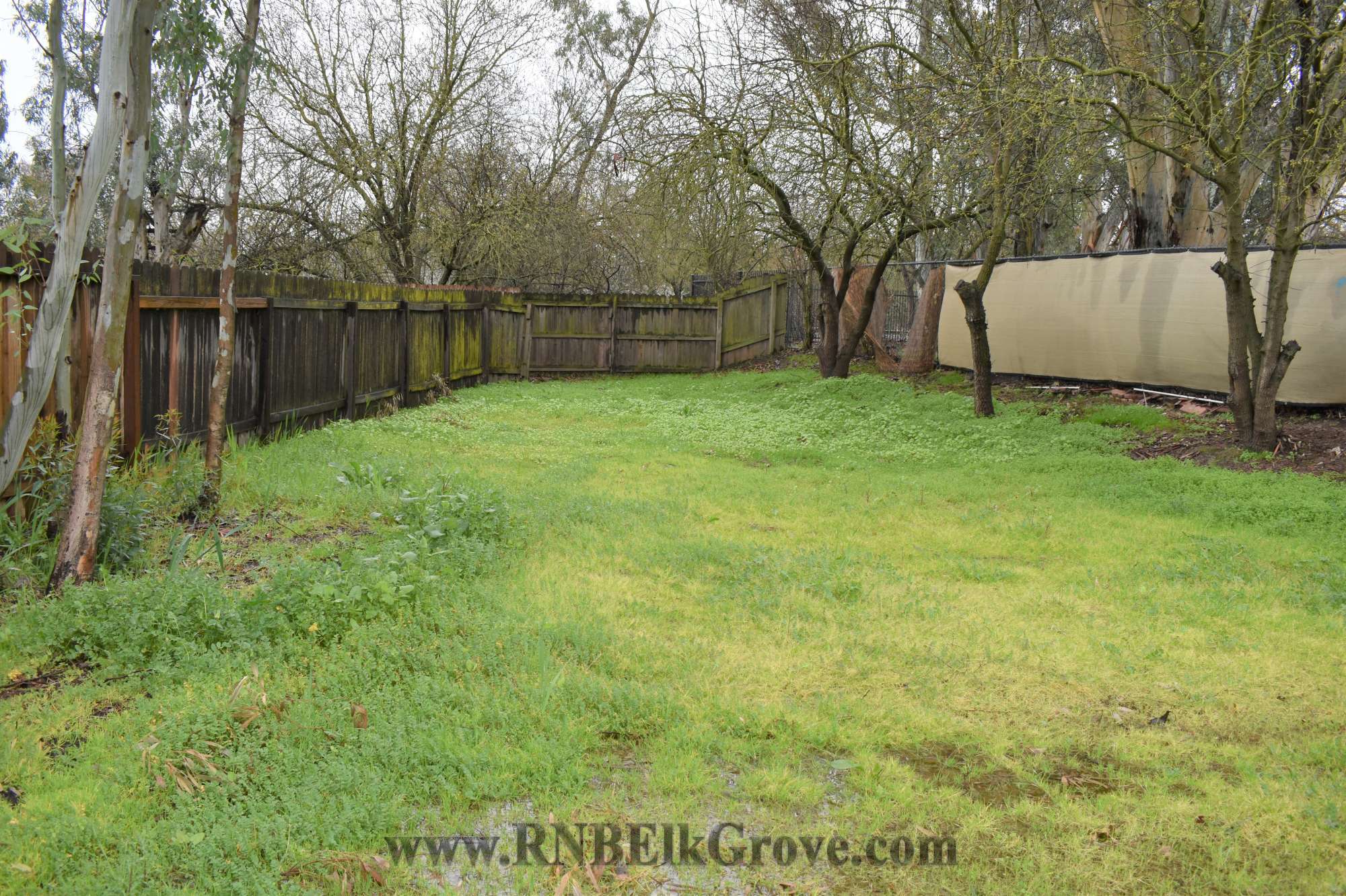 Rental Property Photo