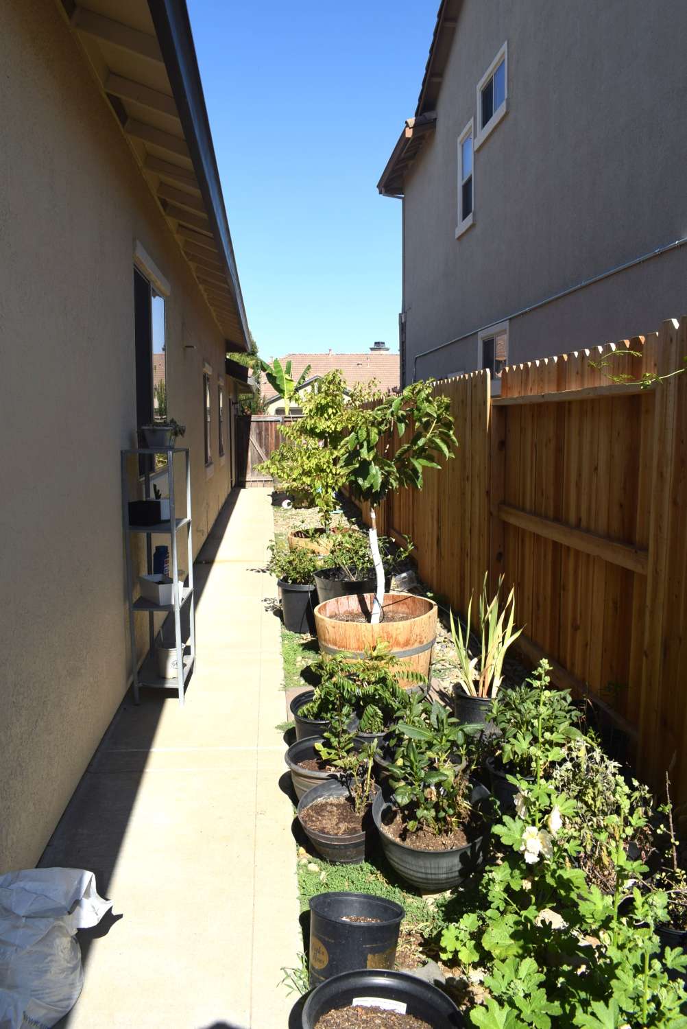 Rental Property Photo