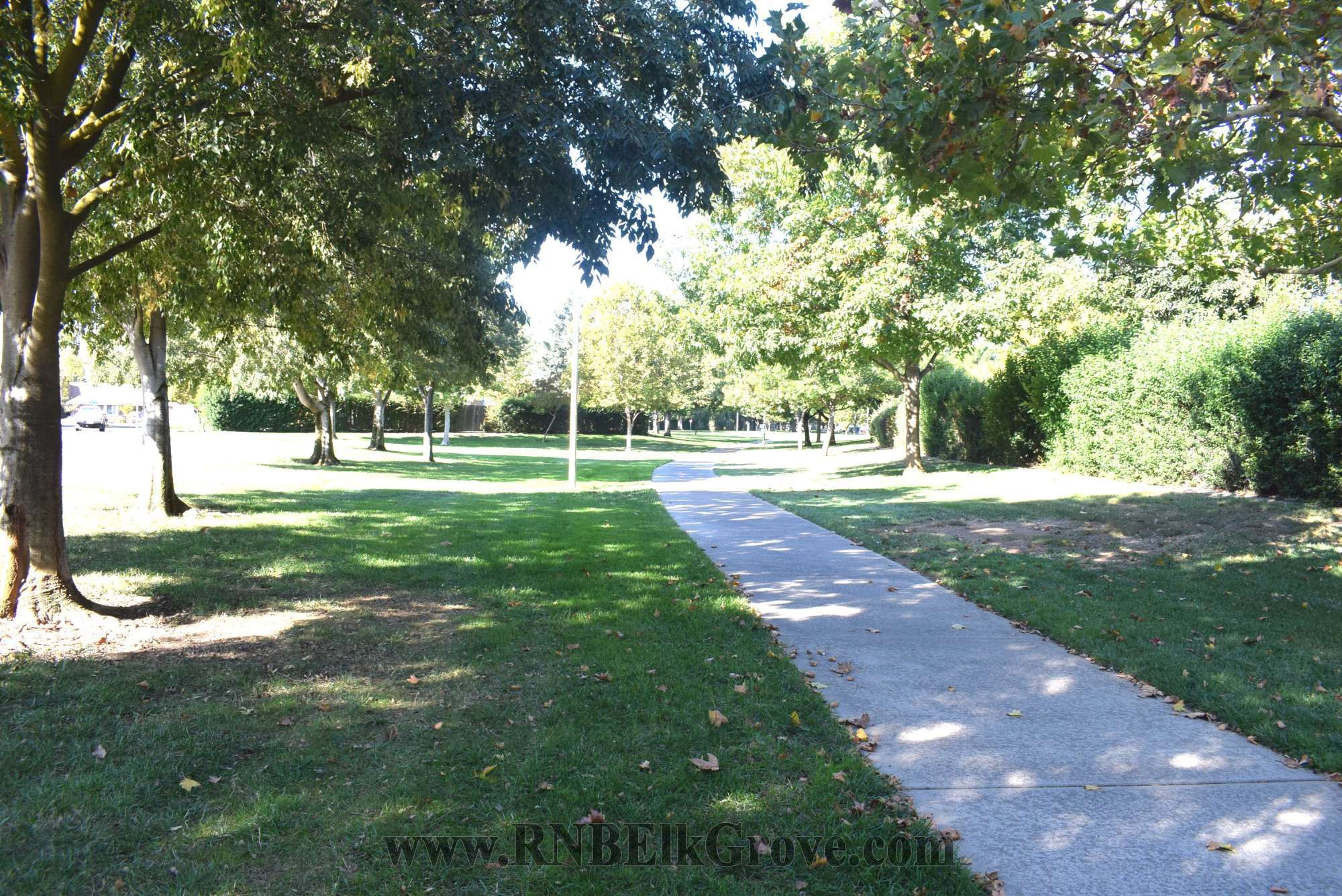 Rental Property Photo