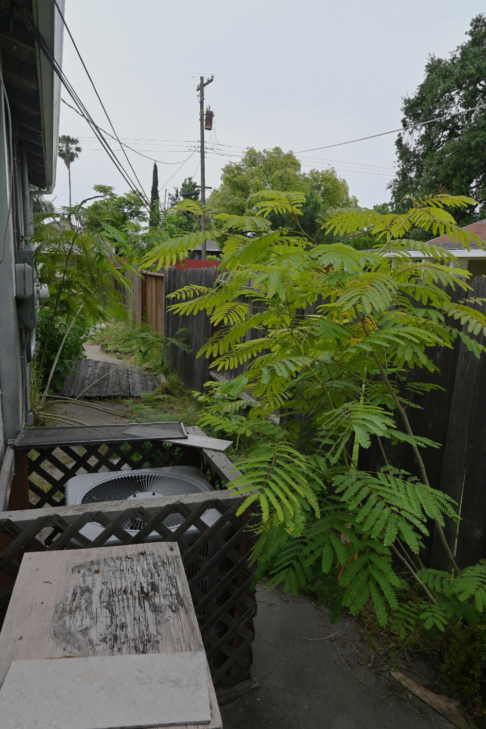 Rental Property Photo