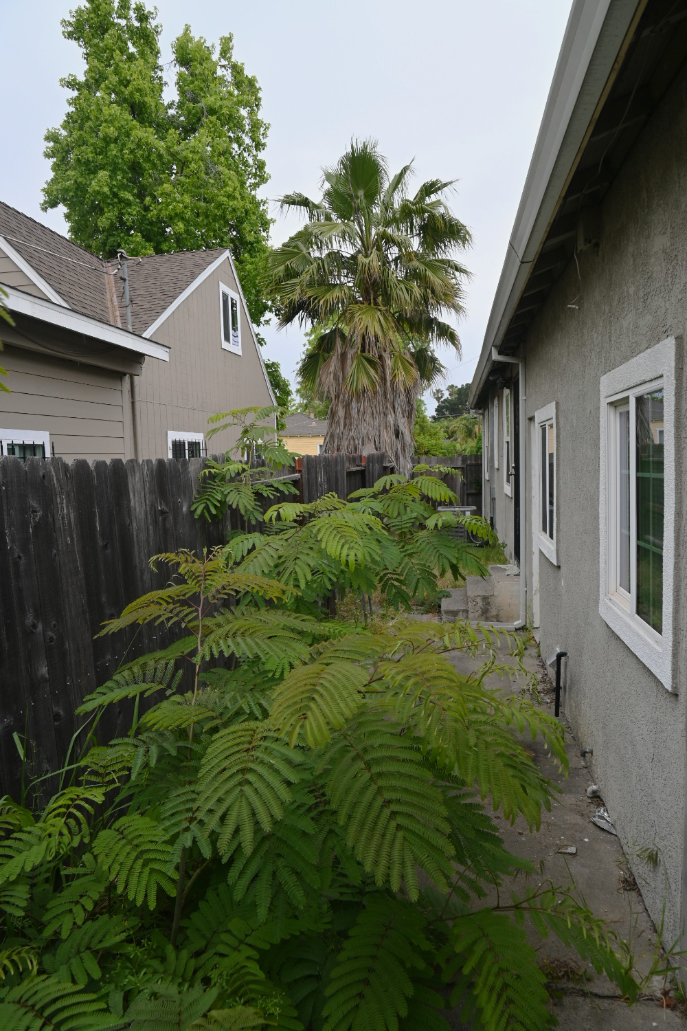 Rental Property Photo
