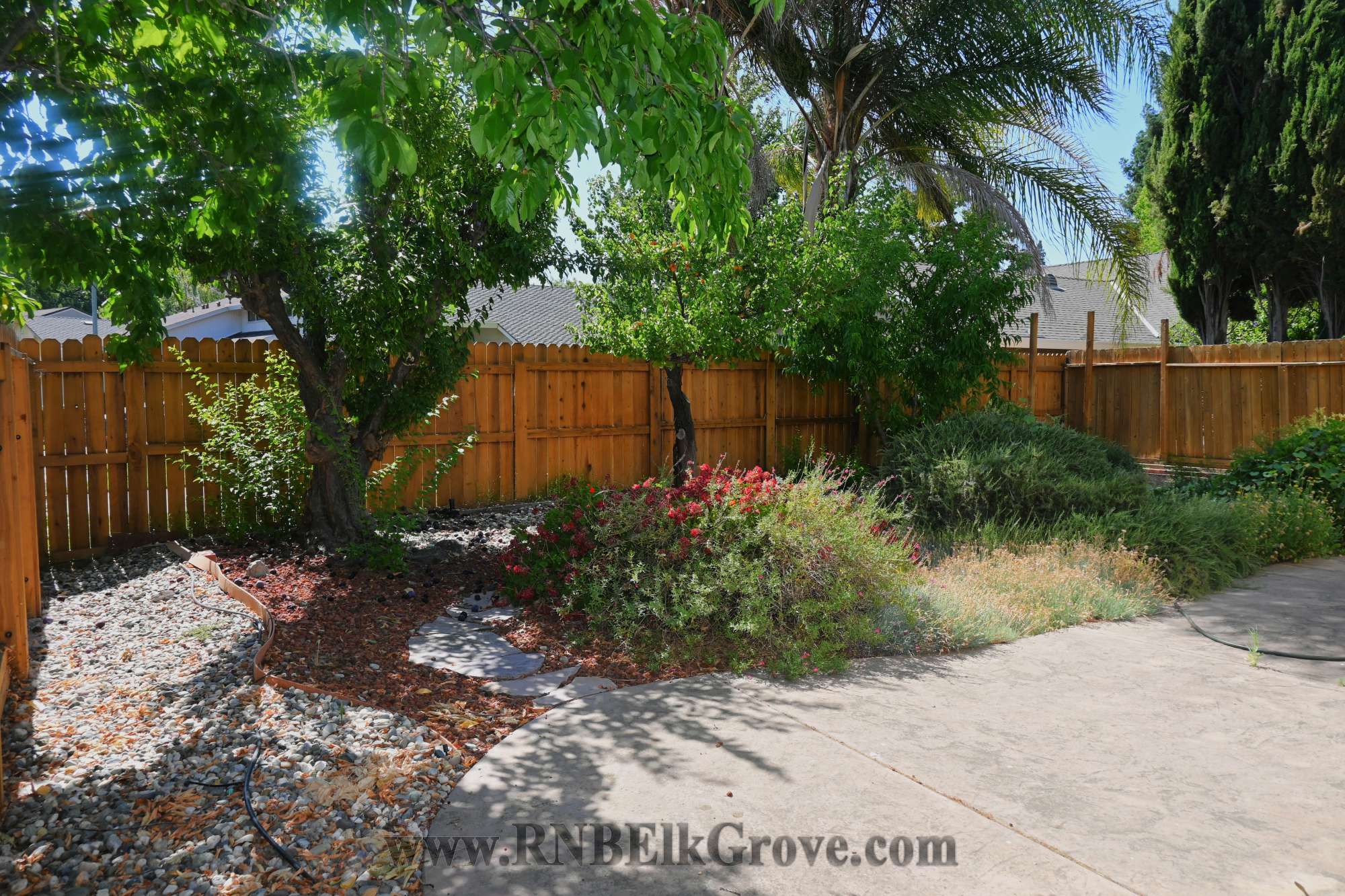 Rental Property Photo