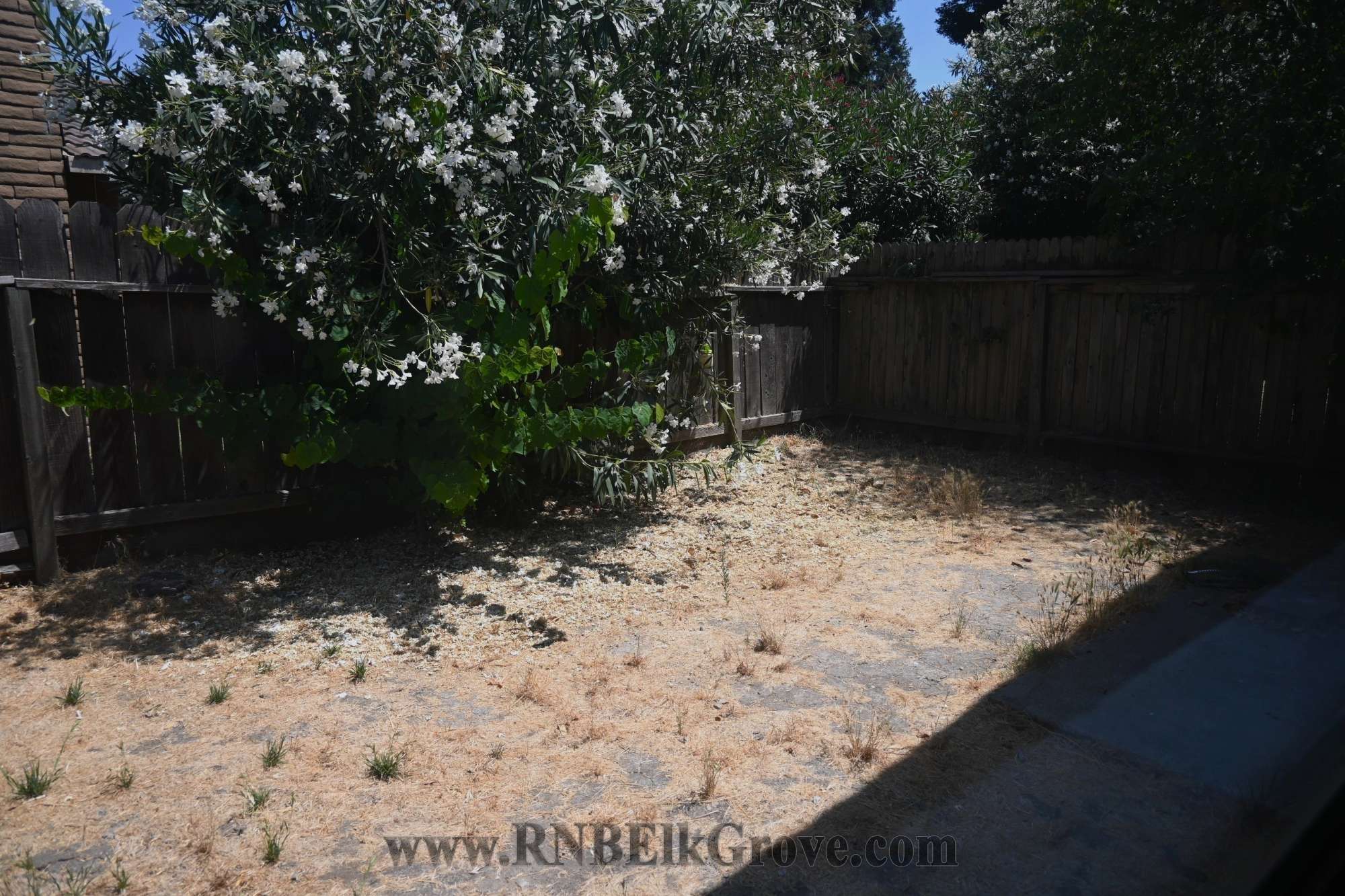 Rental Property Photo