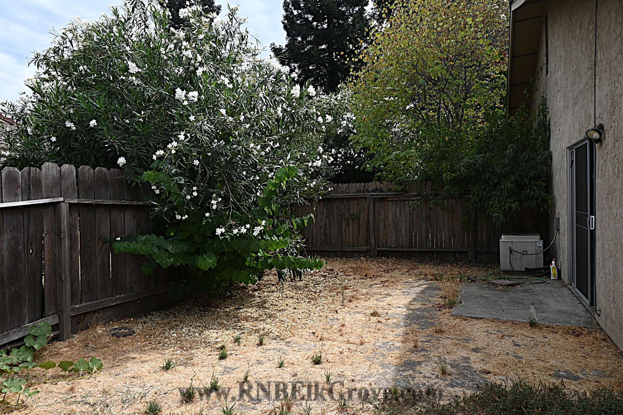 Rental Property Photo