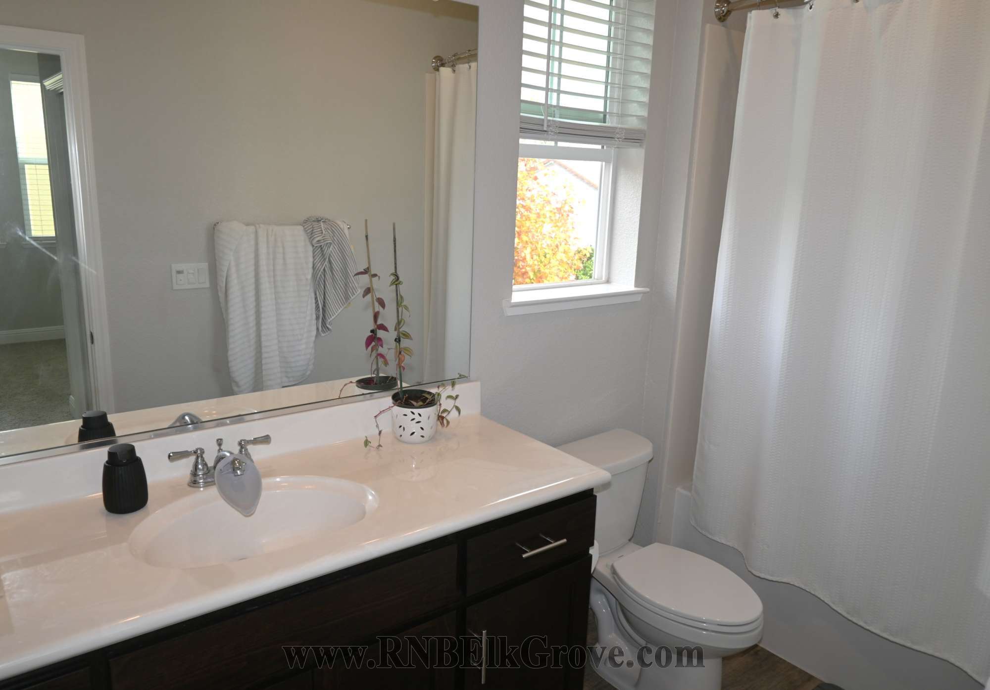 Rental Property Photo
