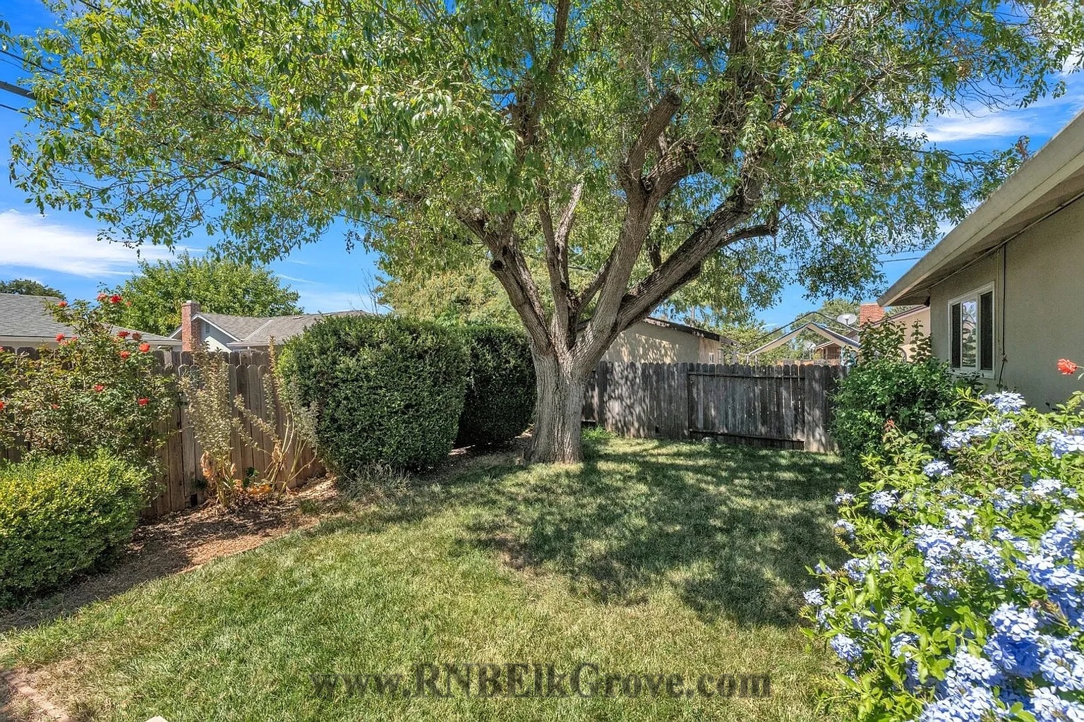 Rental Property Photo